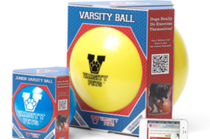 Varsity ball for dogs outlet
