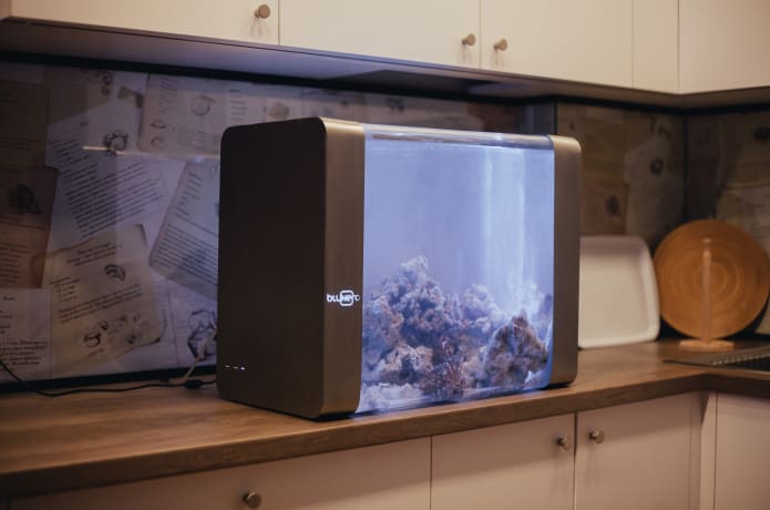 Bluenero World's Most Advanced Smart Aquarium | Indiegogo