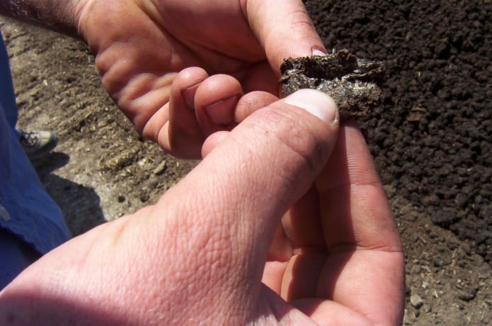 Envirowagg Doggone Good Compost Indiegogo - 