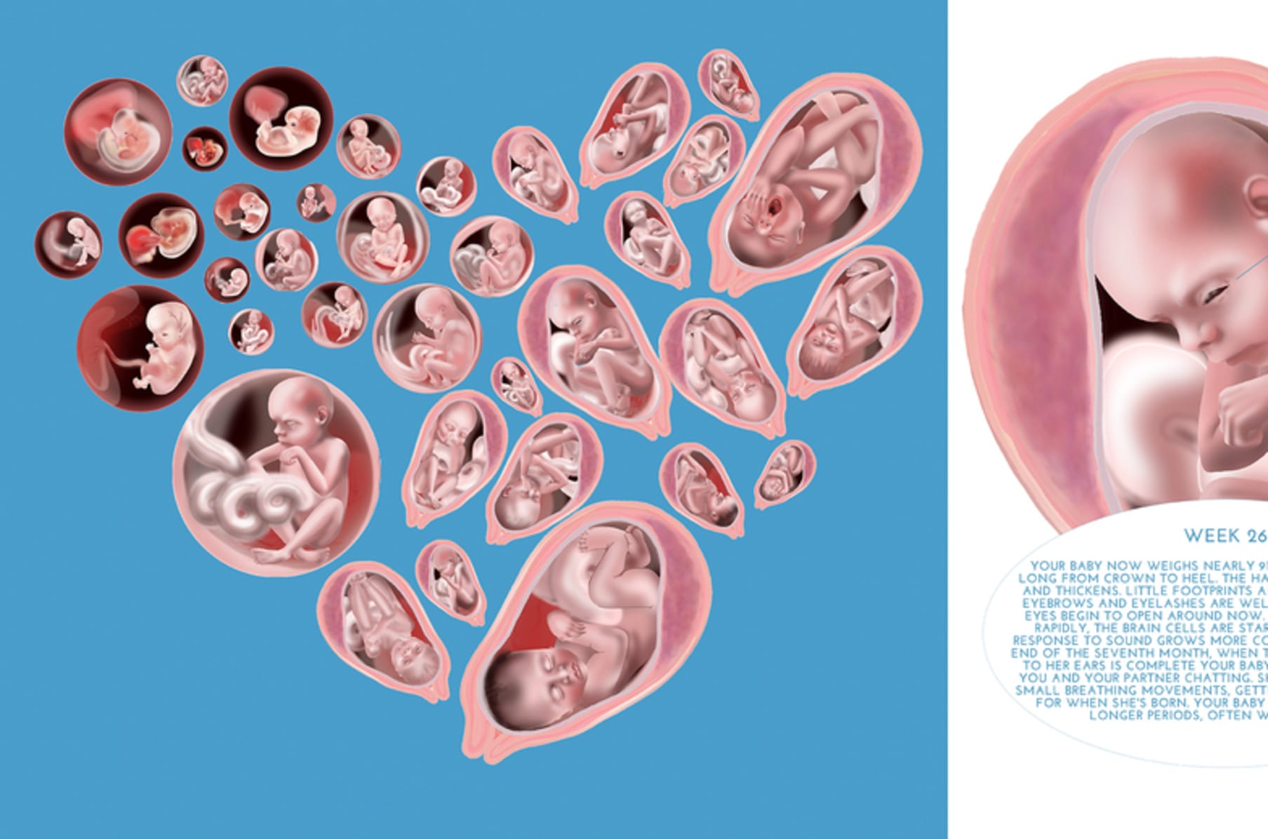 Babywatch Indiegogo