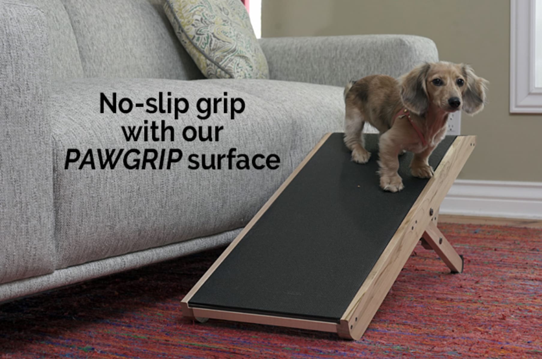 indiegogo dog ramp