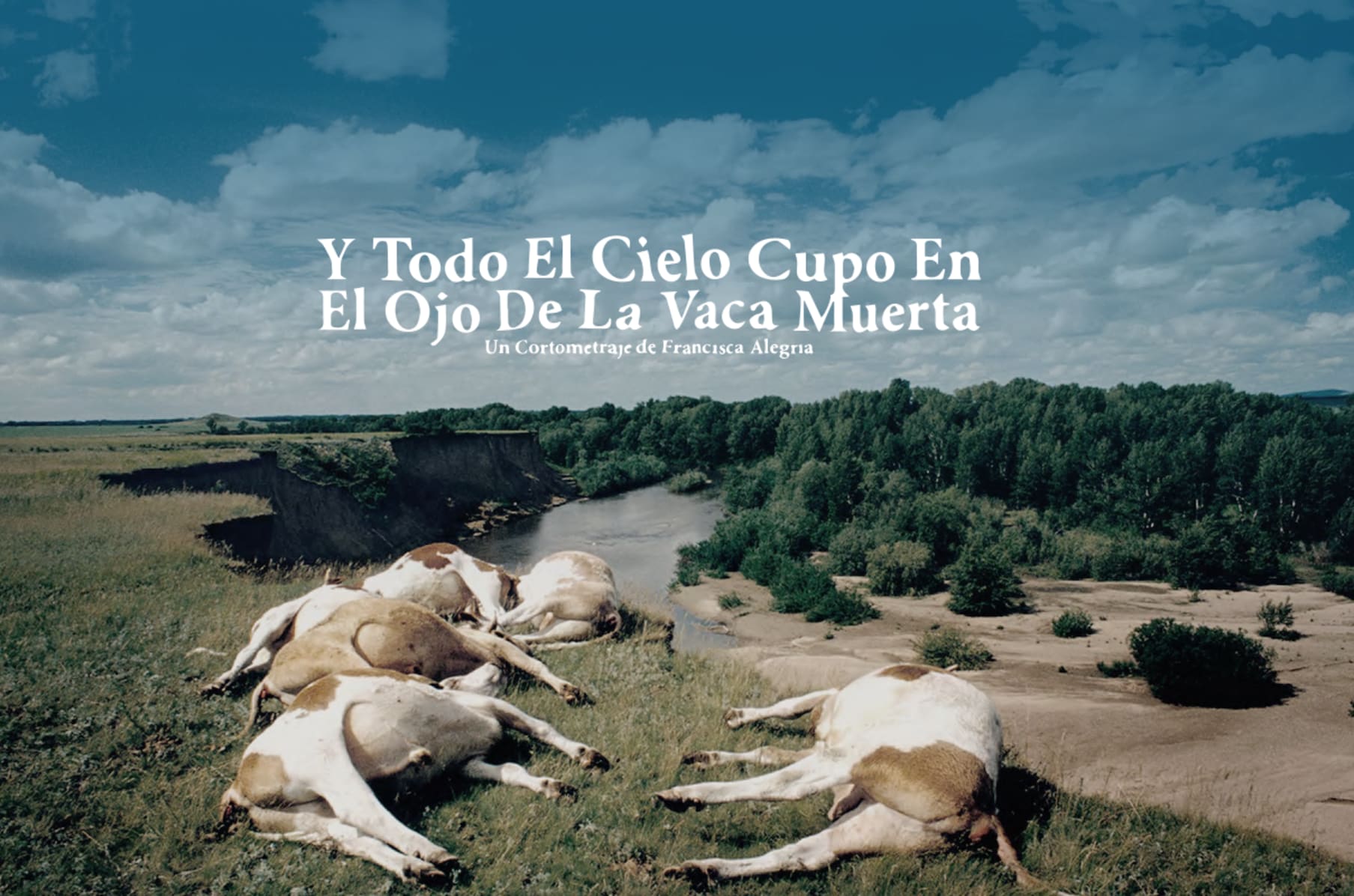 Y Todo El Cielo Cupo En El Ojo De La Vaca Muerta Indiegogo