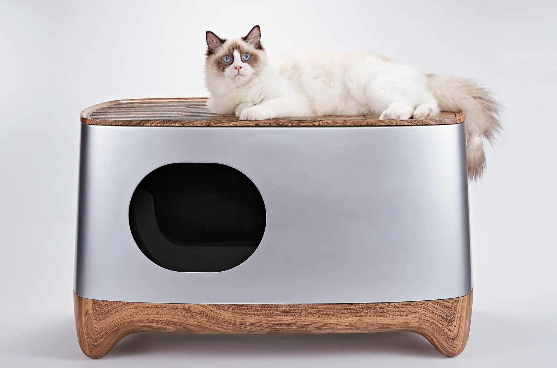 Ikuddle Auto Pack Self Cleaning Litter Box Indiegogo