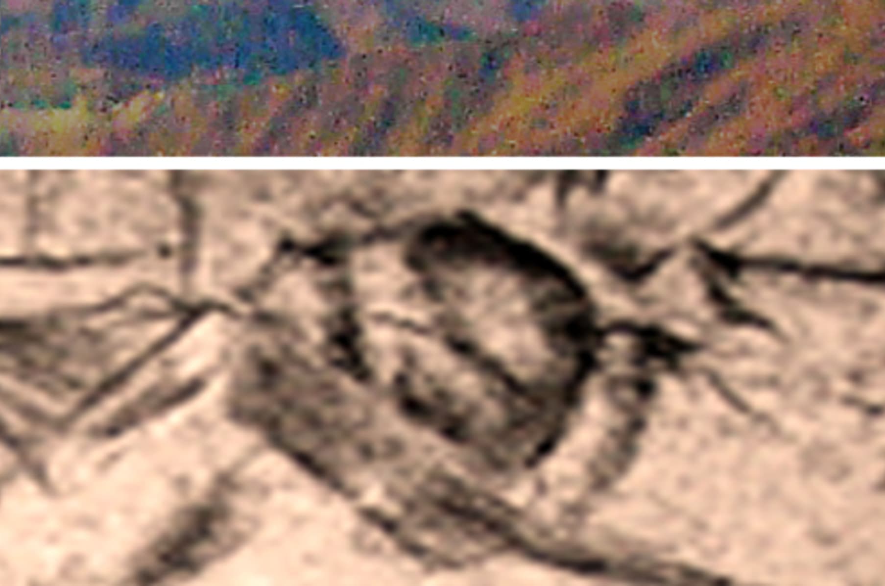 The Secret Landscape Of The Mona Lisa Indiegogo