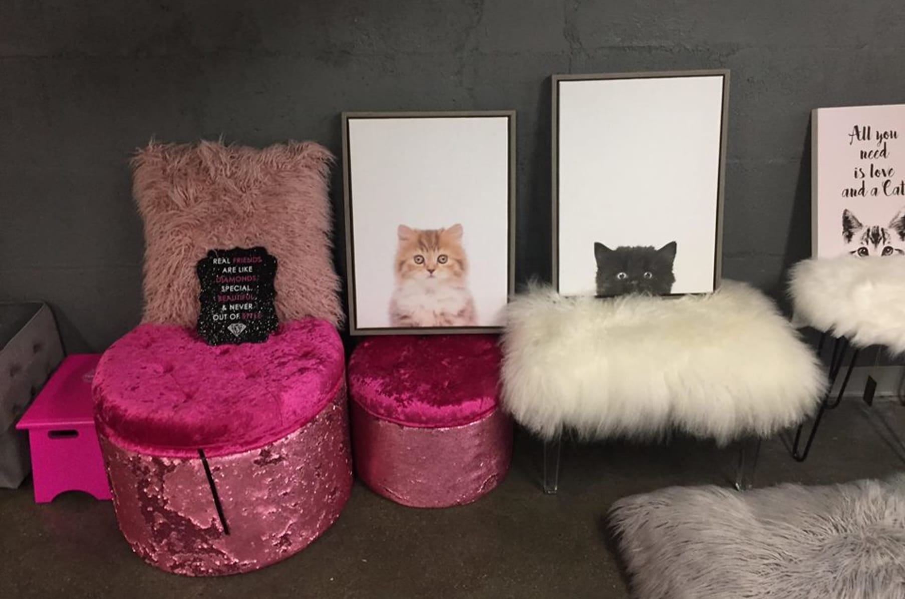 Velvet Friends Cat  Cafe  2021