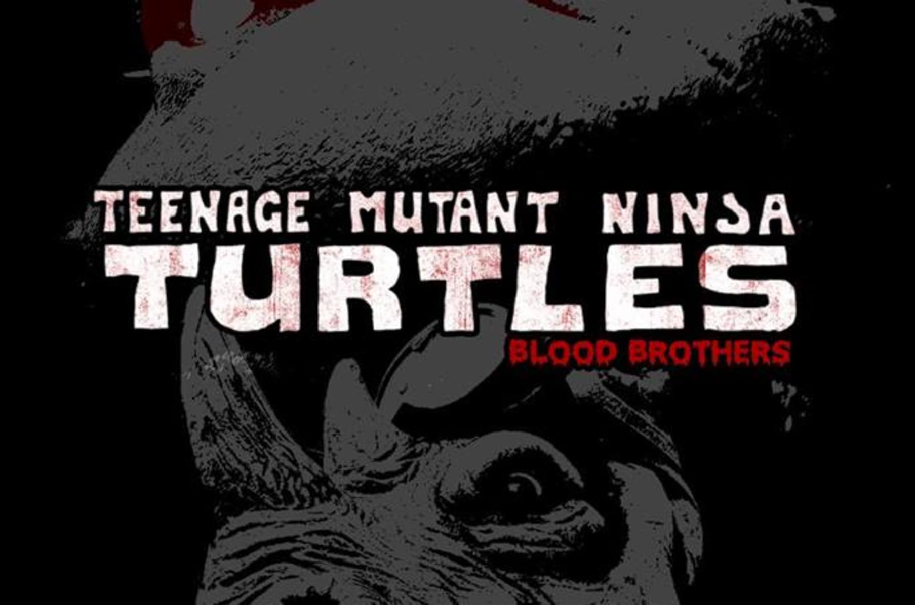 Ninja Turtles Blood Brothers Indiegogo