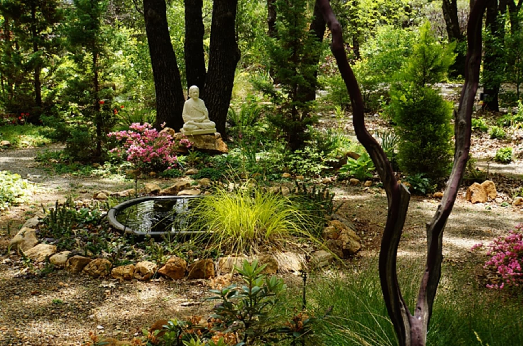 Creating Yogananda Gardens Indiegogo