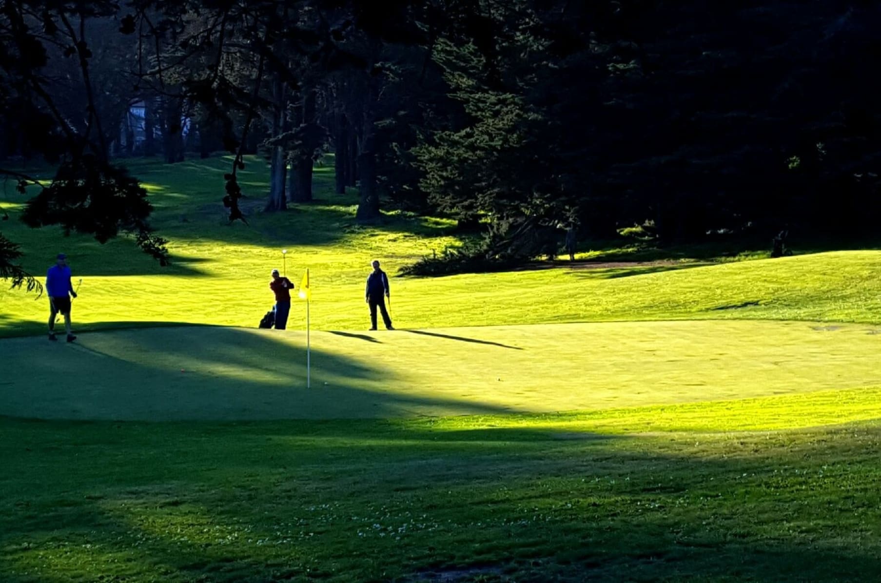 Disc Golf In Mclaren Park At Gleneagles Indiegogo
