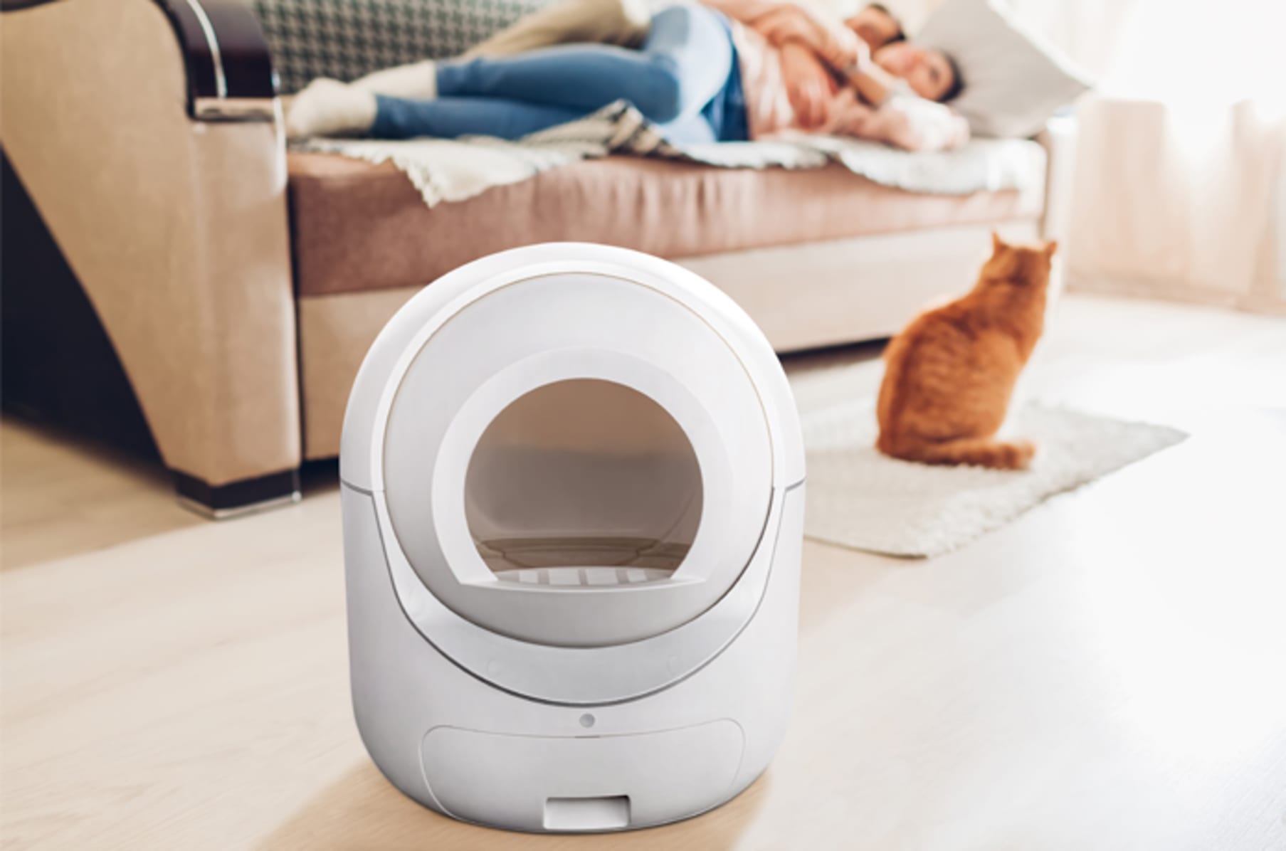 Igloo Reinvent Affordable Auto Cat Litter Box Indiegogo