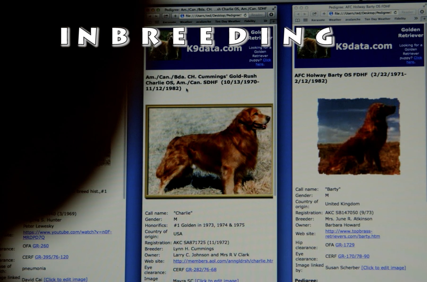 The Quest For Longer Lived Dogs Indiegogo