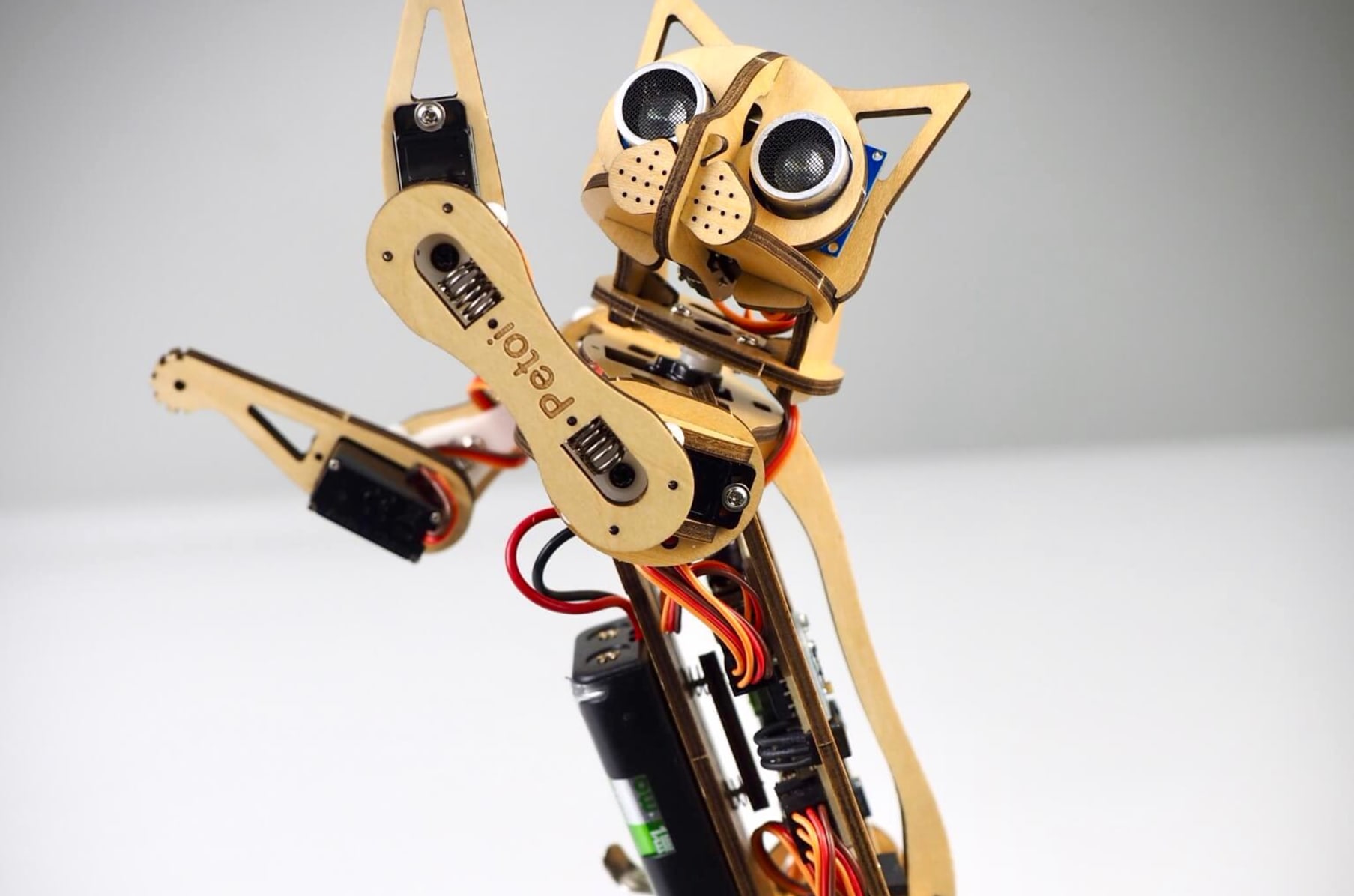 world s cutest open source robotic cat