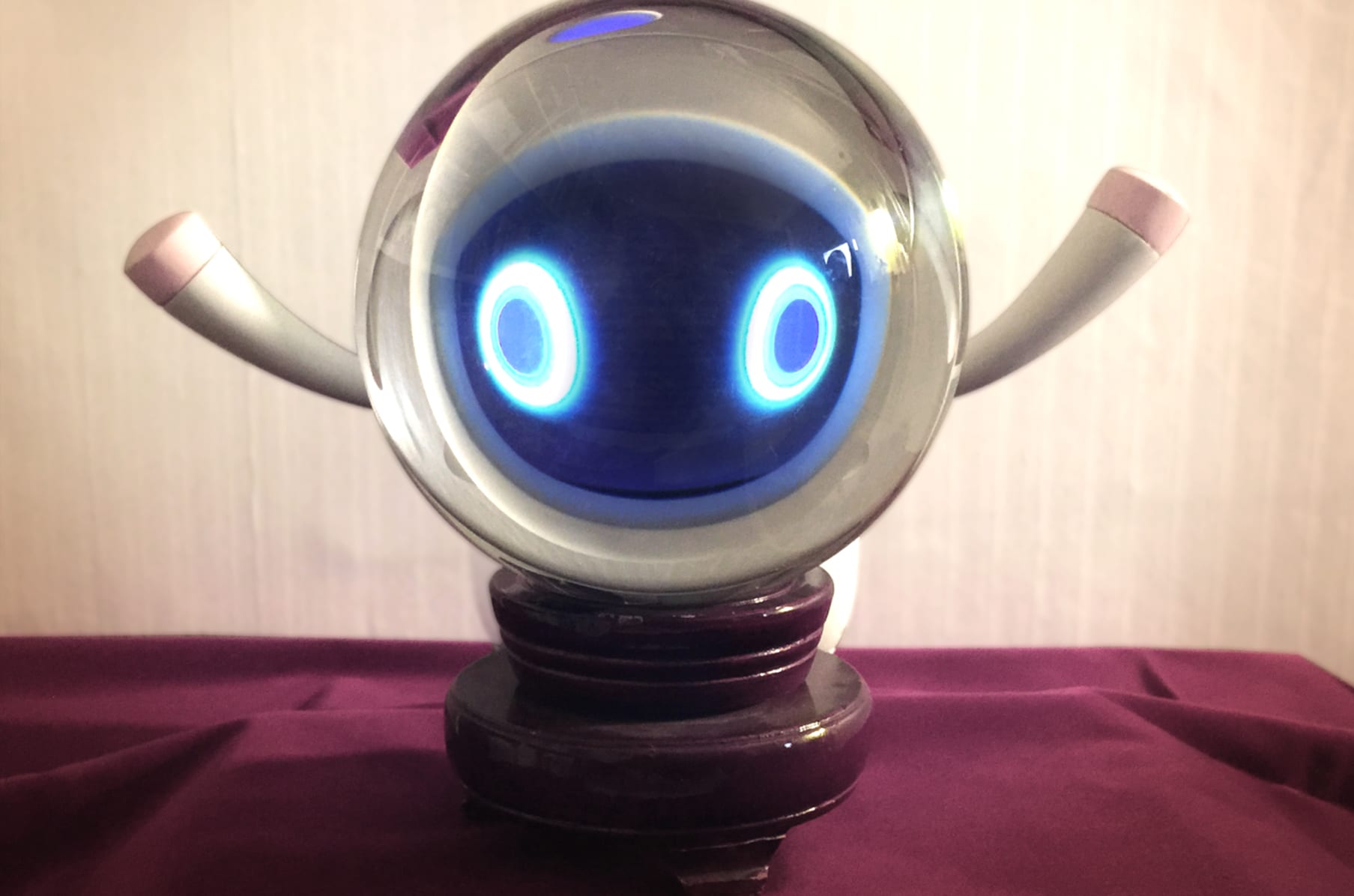 Musio Your Curious New Friend Indiegogo The robot launched in japan and is heralded. musio your curious new friend indiegogo