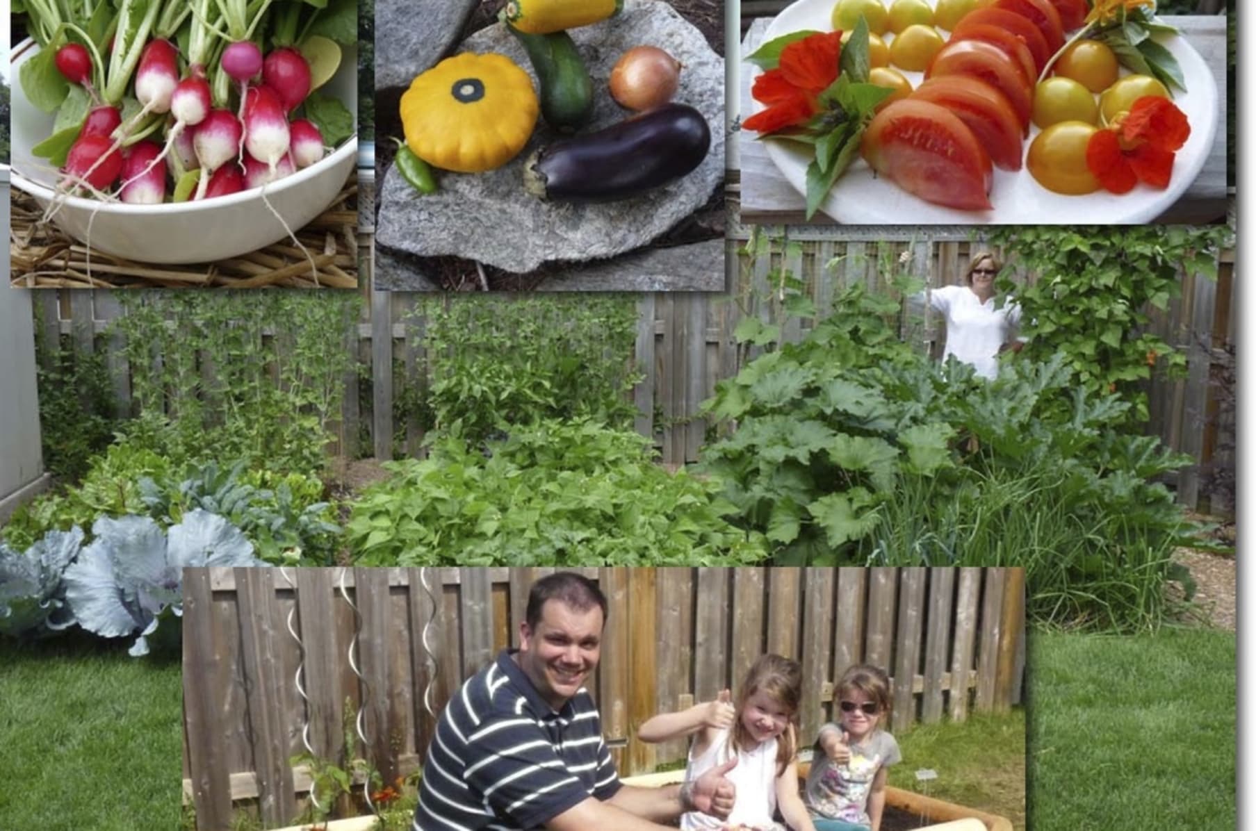 The Backyard Urban Farm Company S Pop Up Garden Shop And