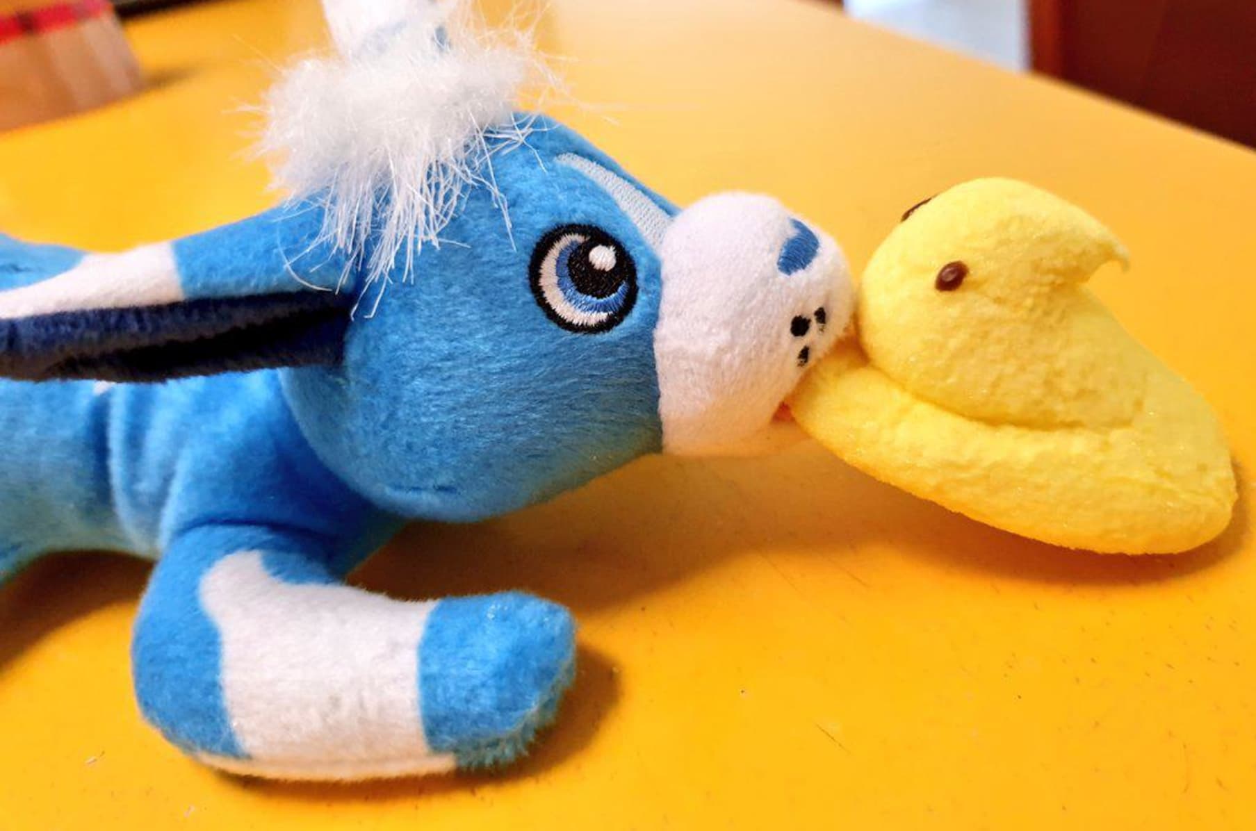 Pocari Roo Saves The Kitties Indiegogo