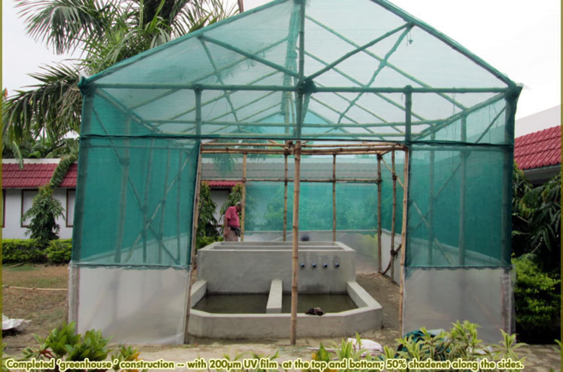 Aquaponics Sustainable Livelihoods And Appropriate Technologies