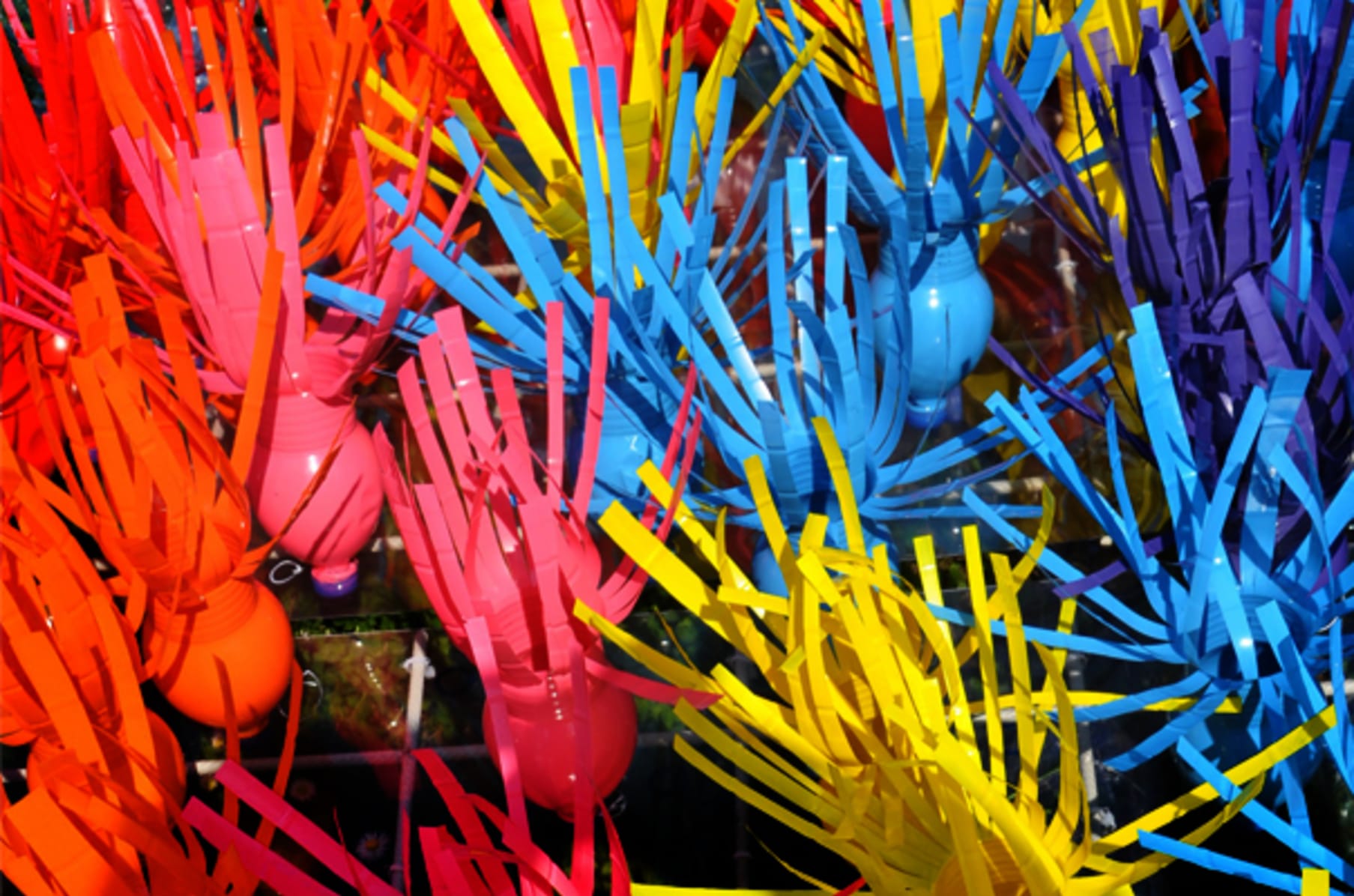 Carpet Of Joy Collaborative Eco Art Installation Indiegogo Psytrance techno hits dj acid hard house. carpet of joy collaborative eco art