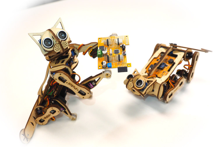 Cat Robot Toy Kickstarter Cat's Blog