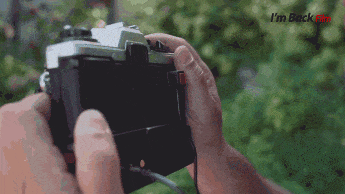 I'm Back Film | Indiegogo