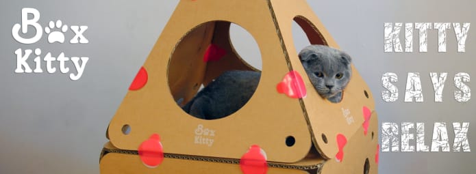 BoxKitty The Modular Cat house Indiegogo