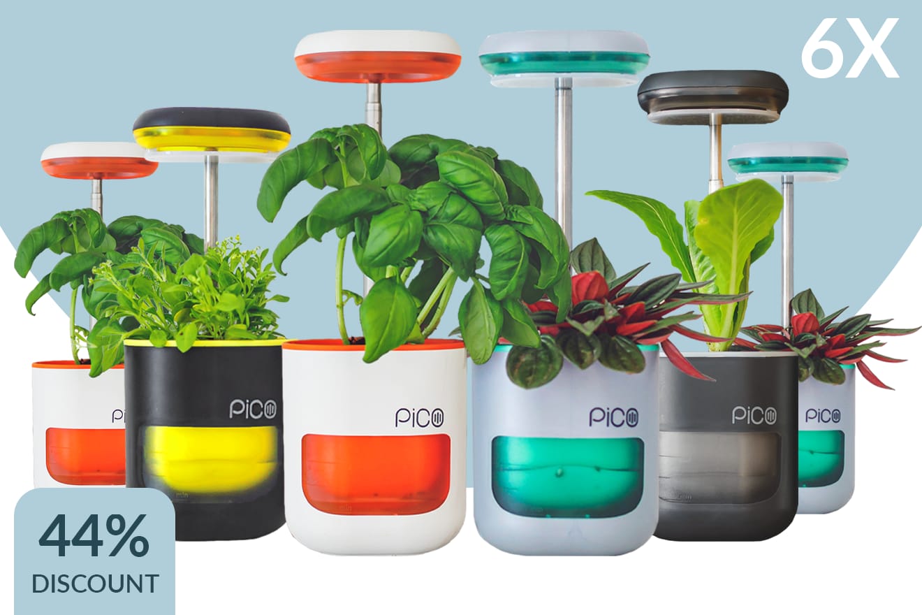 PiCO A Garden In Your Palm (White & Orange Color) ONLY deals