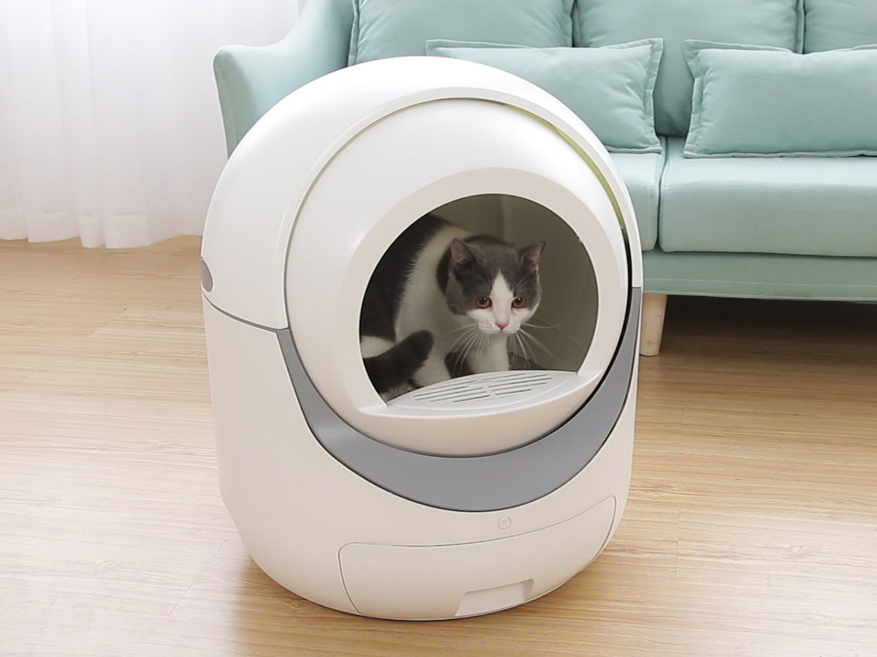 Igloo Automatic Modern Cat Litter Box Indiegogo