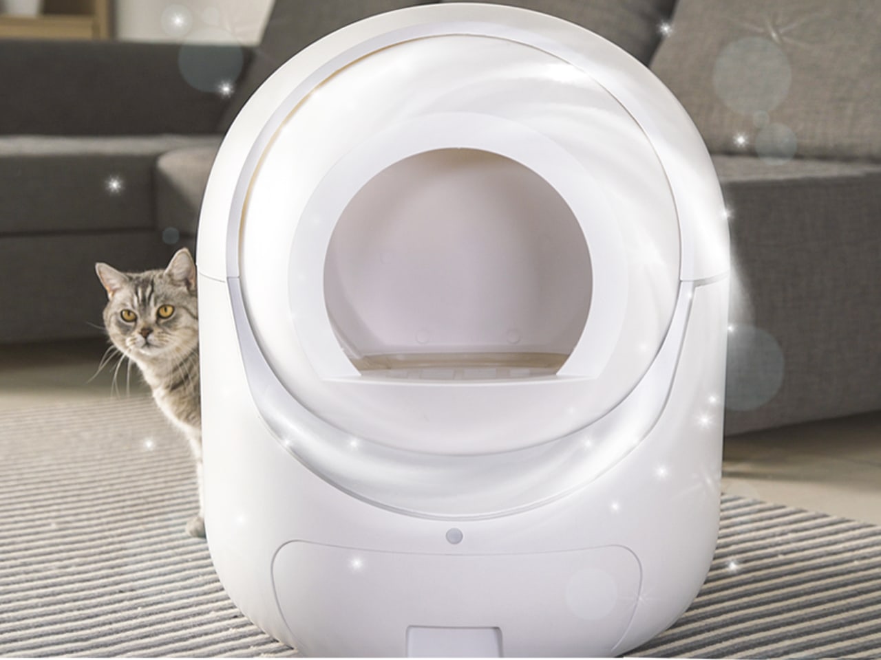 Igloo Automatic Modern Cat Litter Box Indiegogo