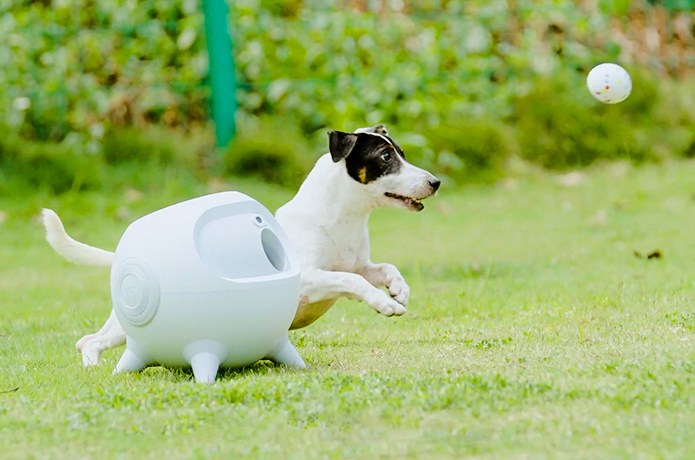 Uahpet iRetriever Ball Launcher