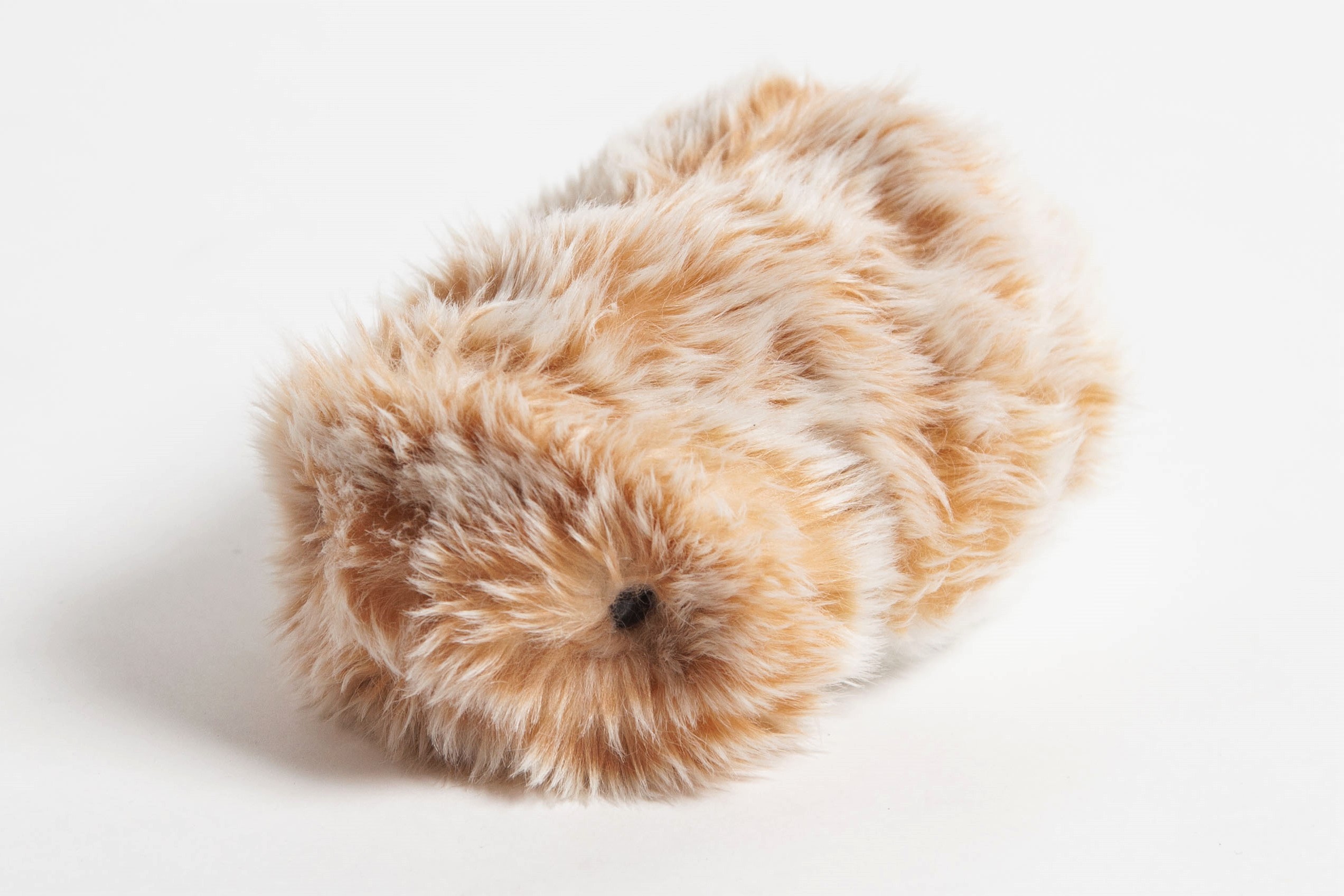 Moflin - An AI Pet with Emotional