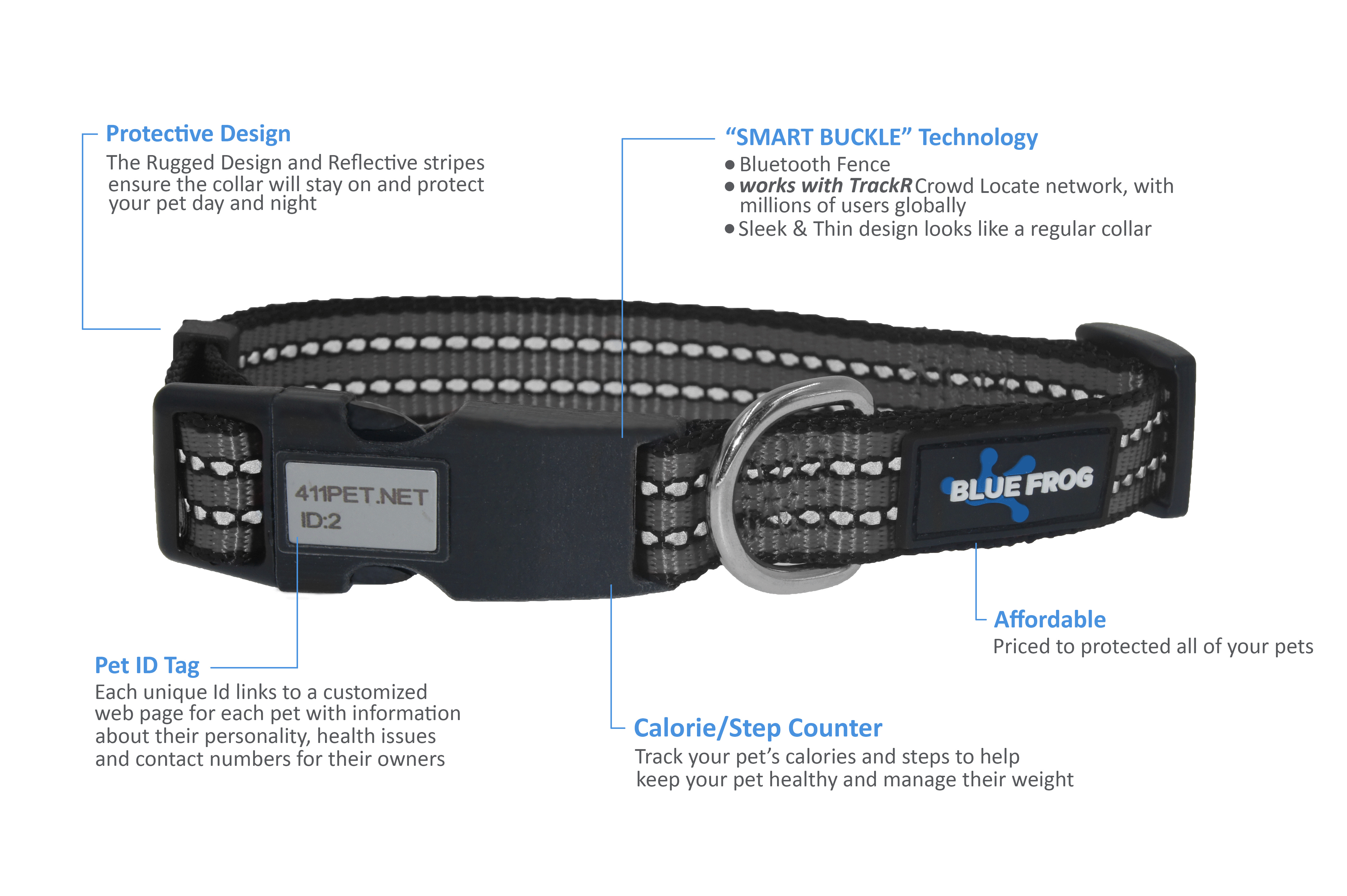 Blue frog dog collar Clearance