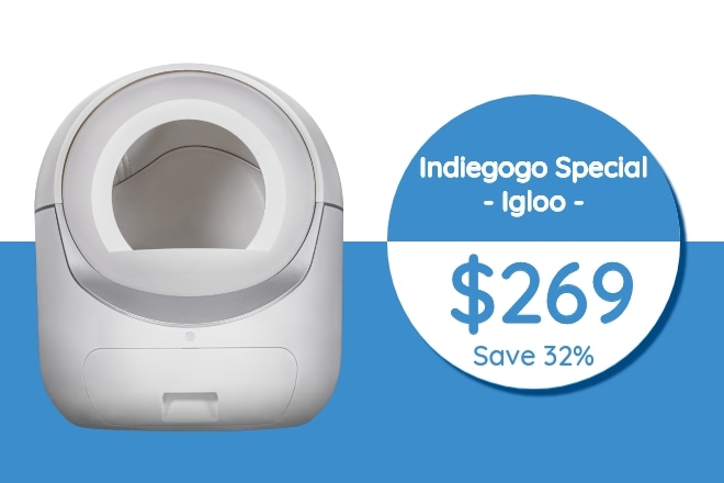 Igloo Reinvent Affordable Auto Cat Litter Box Indiegogo