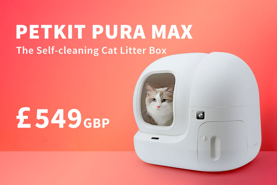 Best self cleaning litter box cheap 2019