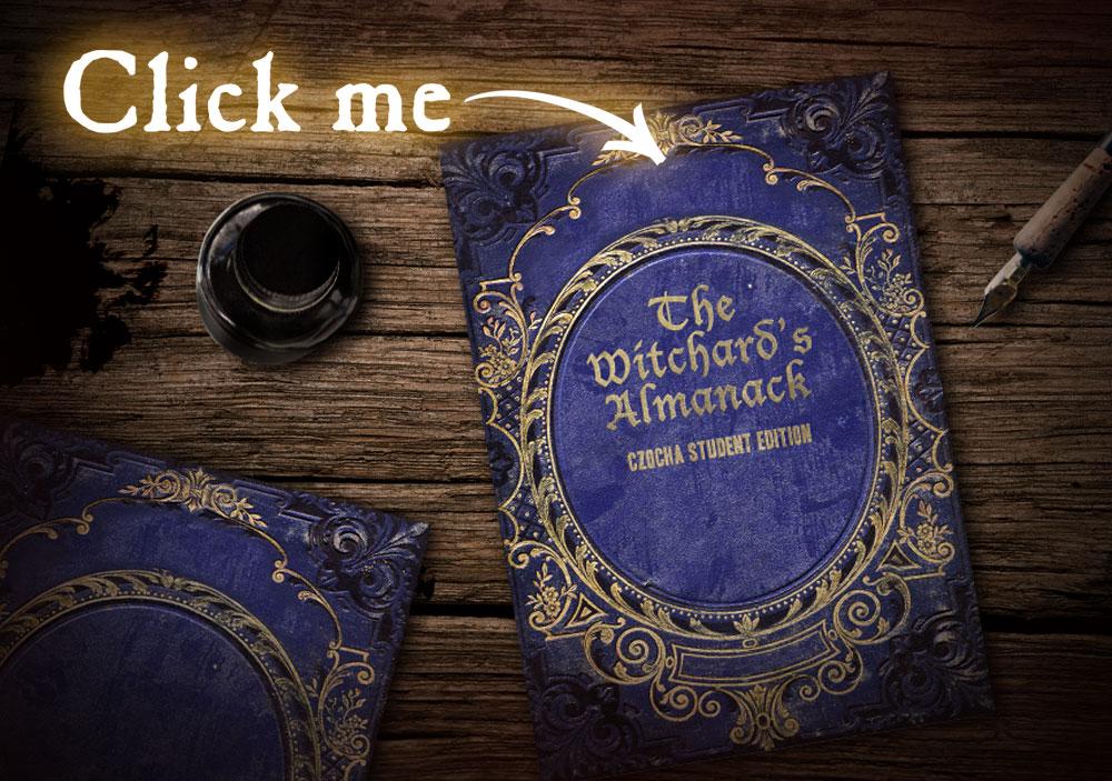 Save College Of Wizardry Indiegogo