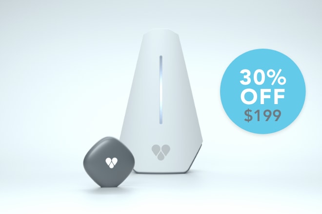 Findster home clearance