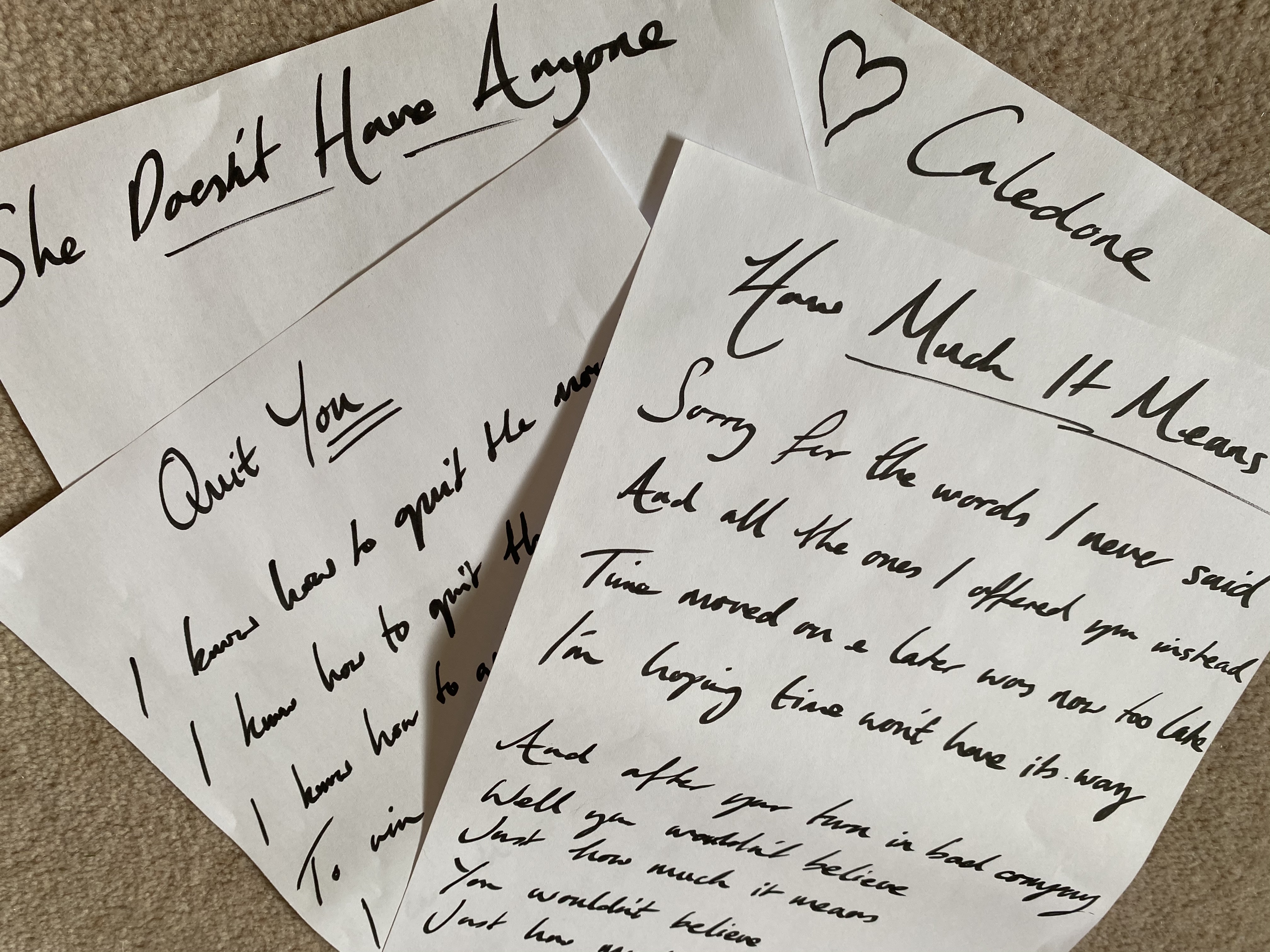 My Next Album Be A Part Of Making It Happen Indiegogo The eggs hatch and amy becomes mama goose. my next album be a part of making it