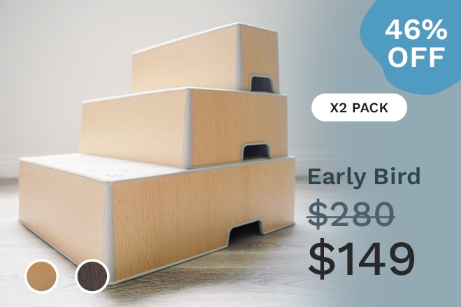 Indiegogo hotsell dog ramp
