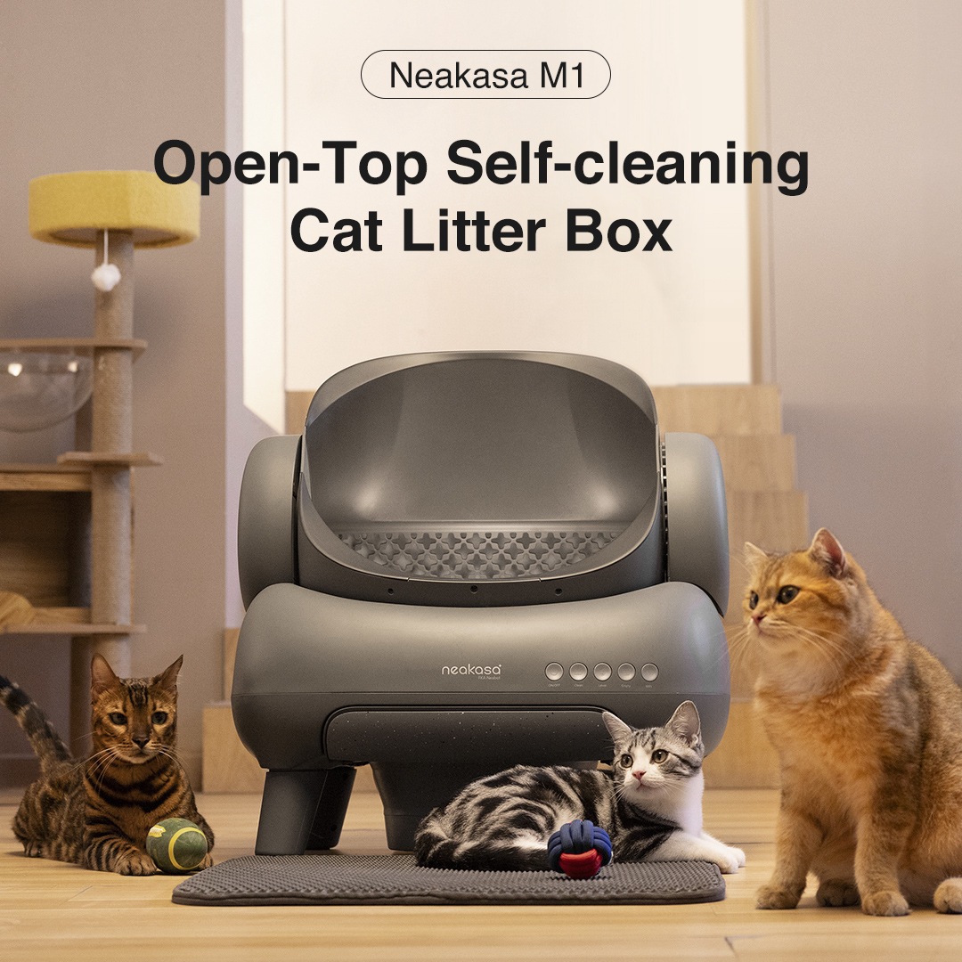 Uncle rob cat litter cheap